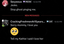 a screenshot of a chat with sexywous jesko and crackingfreshmenat15years