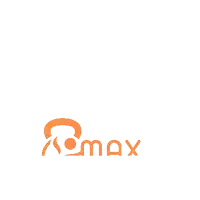 a logo for a company called max is orange and white
