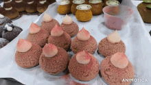 a bunch of desserts on a table with the words made in animatica