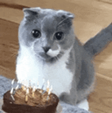 Happy Birthday Happy Birthday Cake GIF - Happy Birthday Happy Birthday Cake Birthday Cake GIFs