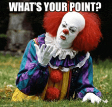 a clown is laying in the grass with the words " what 's your point " above him
