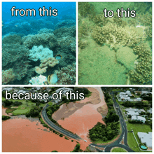 a picture of a coral reef before and after being destroyed