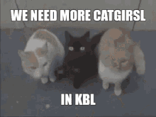 Kbl Join Kbl GIF - Kbl Join Kbl Kinnies GIFs