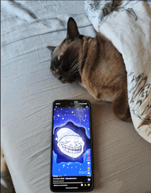 a cat is laying under a blanket next to a phone that has a troll face on it