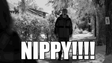 Nippy Saul Goodman GIF