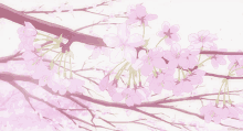 flowers anime soft