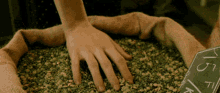 Grain Hand Plunge GIF - Grain Hand Plunge Amelie GIFs