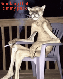 a cat is sitting in a chair smoking a cigarette with the words smoking that timmy pack above it
