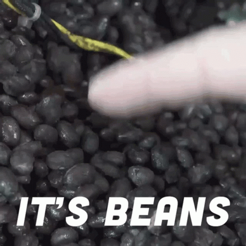 Beans Its Beans GIF - Beans Its Beans Beans In Computer GIFs