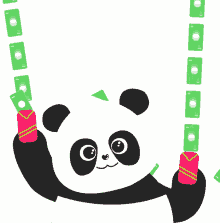 year panda