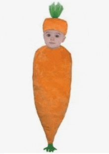 морковка кун аниме GIF - морковка кун морковка аниме GIFs