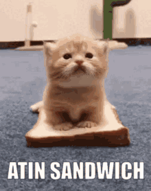 Atin Atin Sandwich GIF - Atin Atin Sandwich GIFs