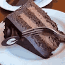 Cake Dessert GIF - Cake Dessert Chocolate Cake GIFs