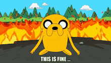 bh187 adventure time this is fine this is fine dog dont worry