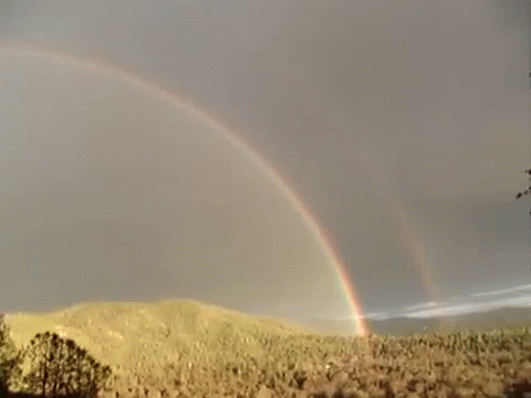 double-rainbow.gif