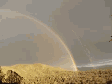 Double Rainbow GIF - Double Rainbow GIFs