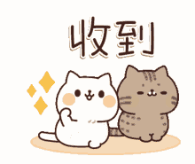 kitty kitten