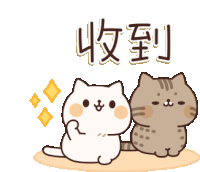 Cute Cats Sticker - Cute Cats Cutecats Stickers