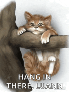 cat kitty cute hanging branch