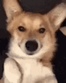 Wink And Point Cute GIF