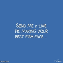 Send Me A Pic Fish Face GIF - Send Me A Pic Fish Face Silly GIFs
