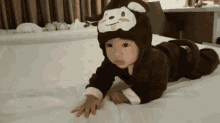apoakira apo monkey toddler baby