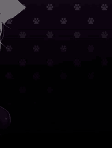 a black background with a pattern of paw prints