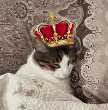 a cat wearing a red and gold crown laying on a bed