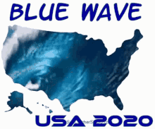 blue wave usa america usa2020 sea