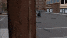 a robot is standing in the middle of a street in front of a building .