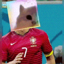 a soccer player with a cat on his head and the number 7 on his shirt