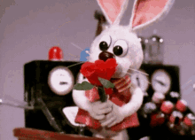 Easter Flowers GIF - Easter Flowers Petter Cottontail GIFs
