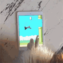 flappy bird falco human jump mobile