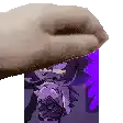 a pixel art of a hand holding a purple box with a picture of a person on it .