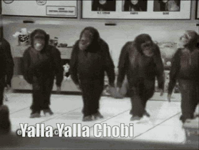 Chobi Yalla GIF - Chobi Yalla GIFs