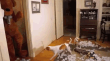 You Destroyed My Family Time To Die GIF - Teddy Bear Costume Dog GIFs