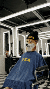 a dog wearing a hat that says dea sits in a chair