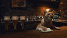 Cat Kitty GIF - Cat Kitty Adorable GIFs