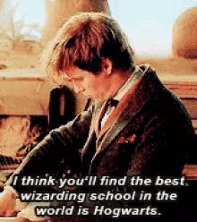 Fantastic Beasts Fantastic Beasts And Where To Find Them GIF - Fantastic Beasts Fantastic Beasts And Where To Find Them Wizarding School GIFs