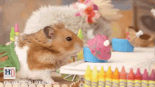 Hamster On Tiki Vacation GIF