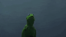 Kermit Management GIF - Kermit Management Evil GIFs