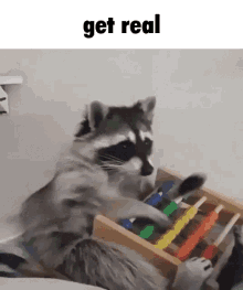 Get Real Raccoon GIF - Get Real Raccoon Rac GIFs