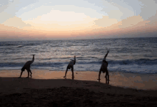 Standing On Hands Bay GIF - Standing On Hands Bay Sea Shore GIFs