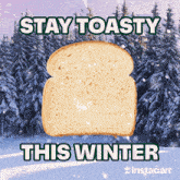 Stay Toasty Stay Warm GIF - Stay Toasty Stay Warm Burned Toast GIFs