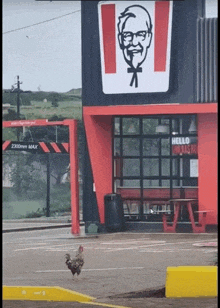 a rooster is walking in front of a kfc restaurant