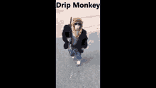 monkey drip