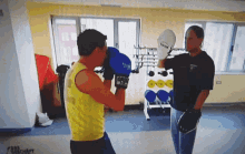 Boxing Peter GIF - Boxing Peter Langhammer GIFs