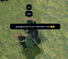 a screenshot of a video game with the words grassgooners is our nickname now on it