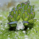 Leaf Sheep Pokemon GIF
