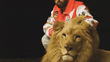 a man in a red and white varsity jacket is sitting on a lion